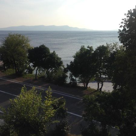 Apartment Marina Senj Senj  Exteriör bild